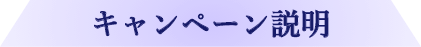 キャンペーン説明