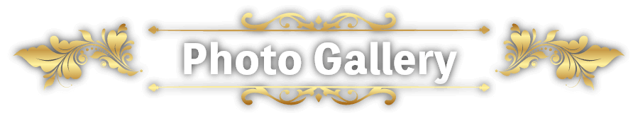 Photo Gallery